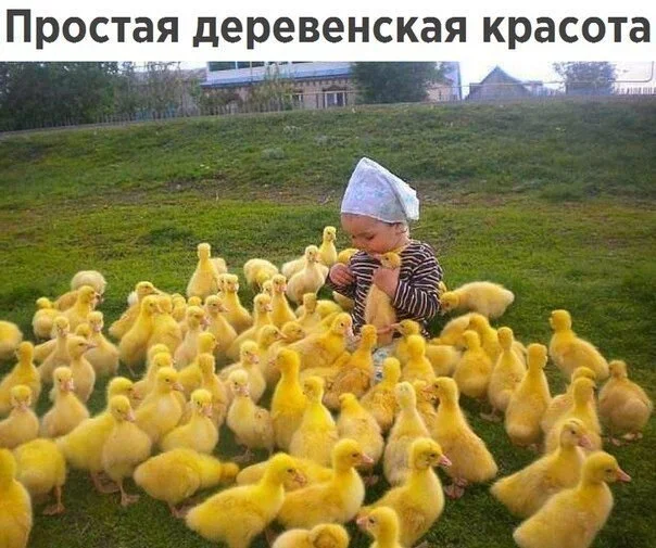 Так себе картинки