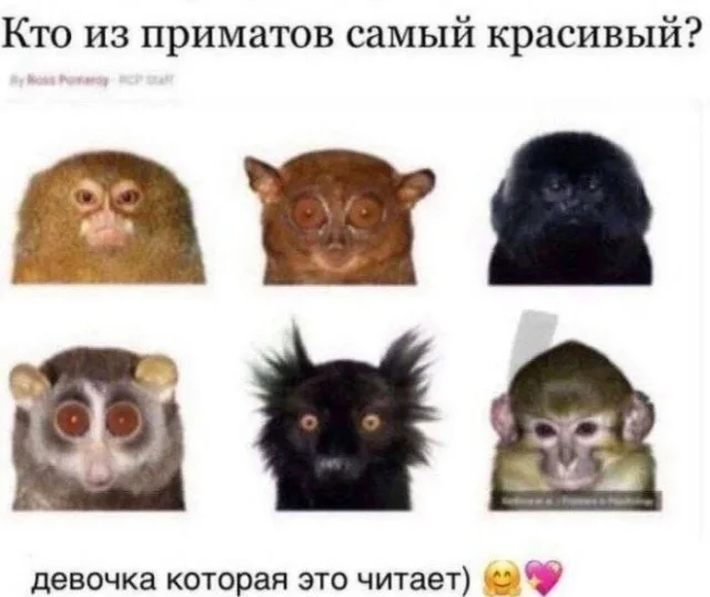 Тупишки | uCrazy.org