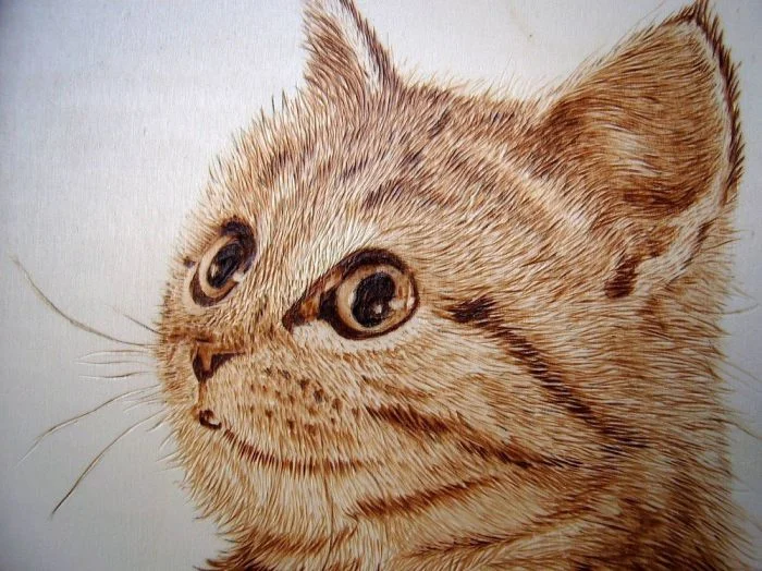 Мастерство выжигания: подборка удивительных работ по дереву