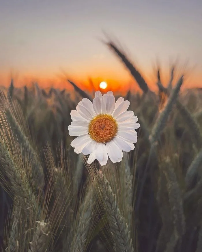 Всё вразнобой