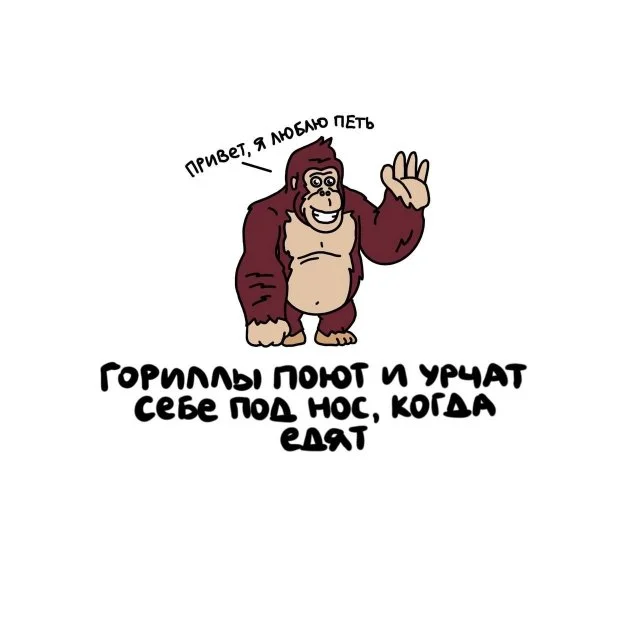 Интересные факты для всех