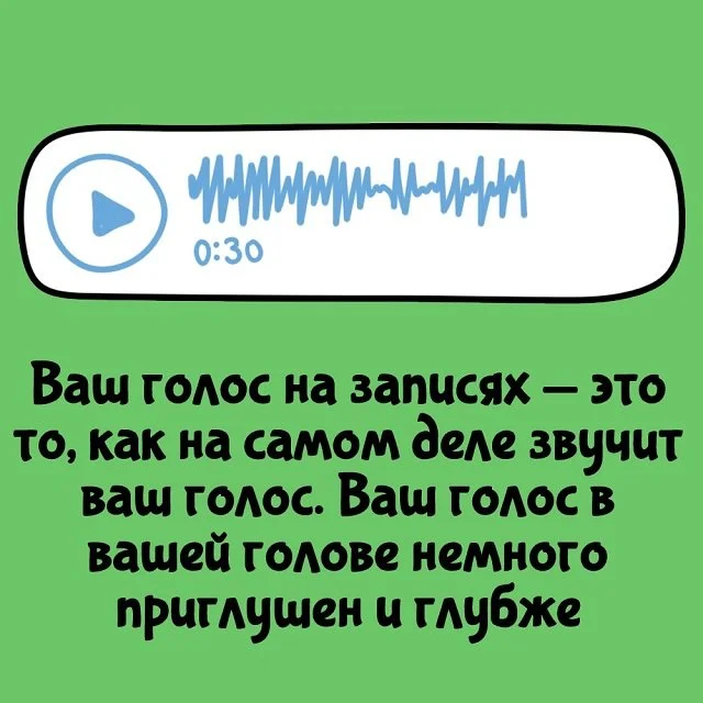 Удивительные факты