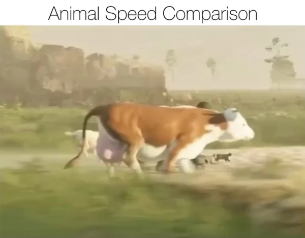 Скорость бега разных животных