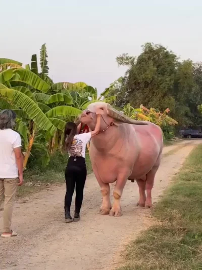 Он как нереальный!