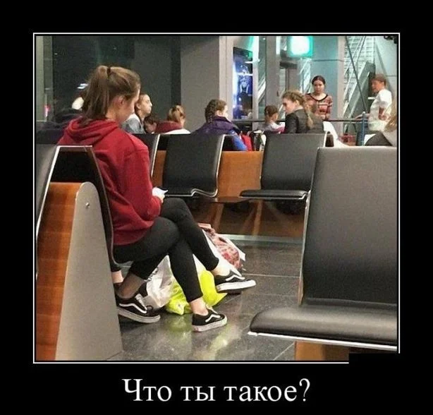 Демотиваторы: Искусство сарказма и иронии