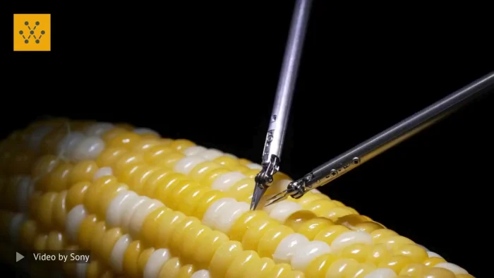 Робот-микрохирург Sony зашивает кукурузинку