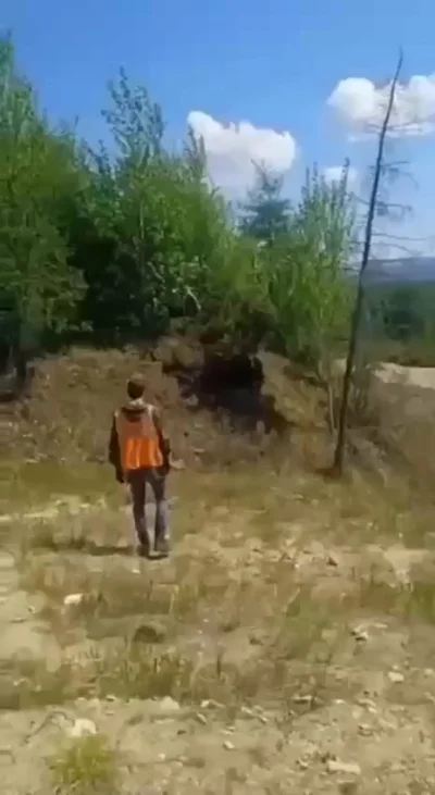 Вахтовики спасли медведя от гибели