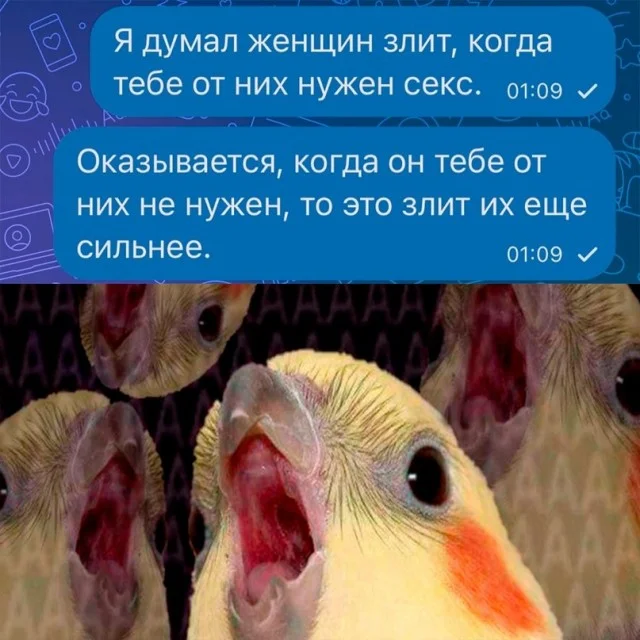 Мемы для взрослых | uCrazy.org