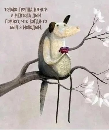 Весело, но так себе