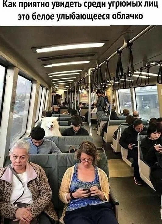 Так себе картинки