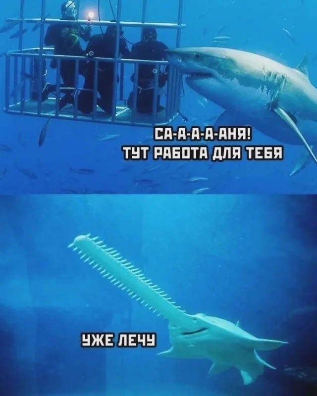 Деградация