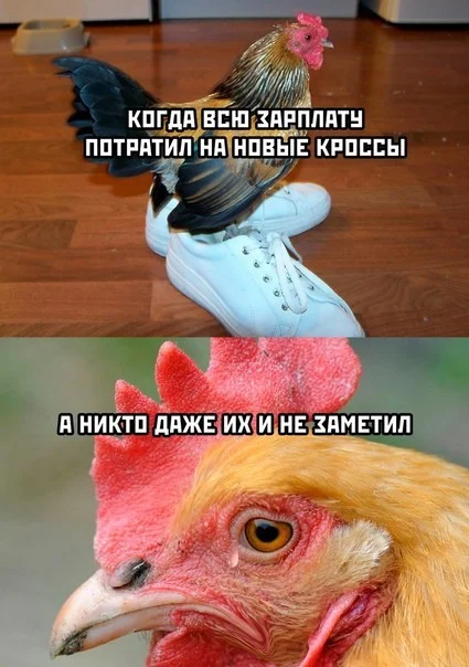 Картинки | uCrazy.org
