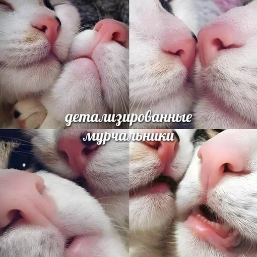 Так себе картинки