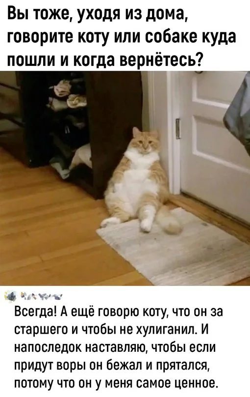 Так себе картинки | uCrazy.org