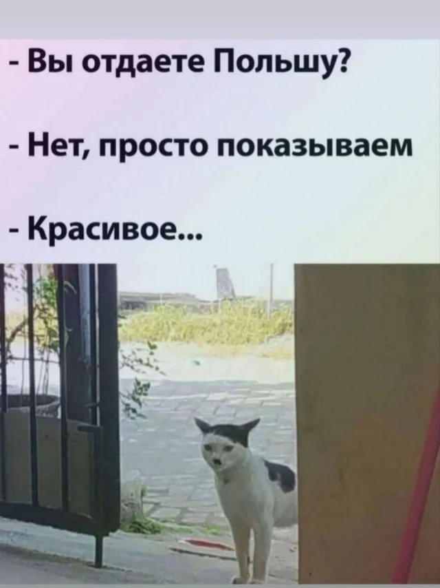 Новые картинки