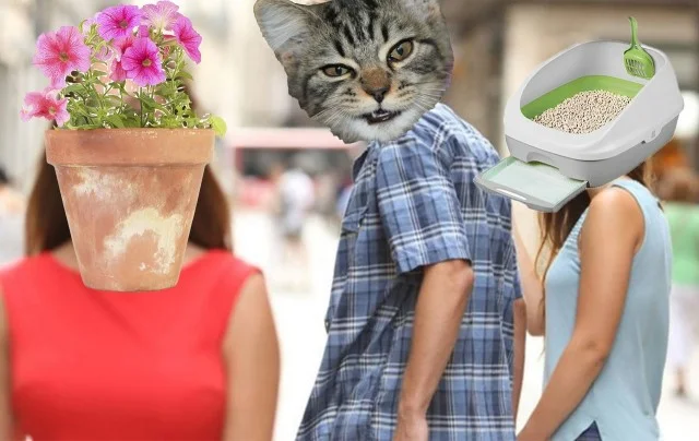 Весело и с юморком