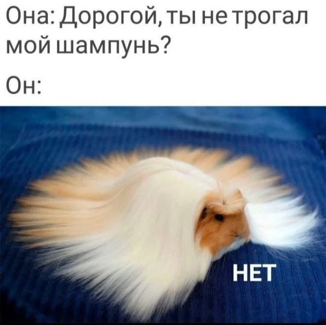 Скрины из соцсетей