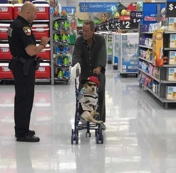 Разные картинки