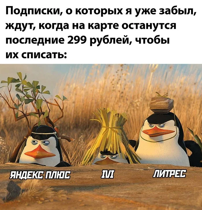 Скрины из соцсетей