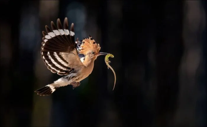 Всё вразнобой