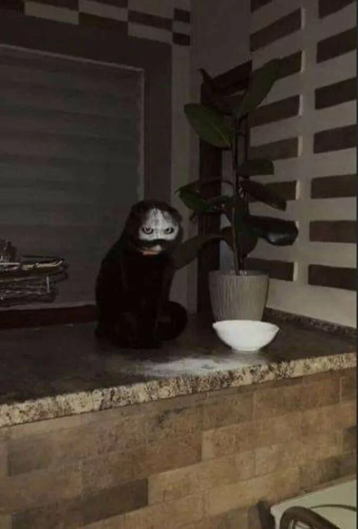 Жуткие кадры: 20 фотографий, которые заставят вашу кровь стынуть в жилах