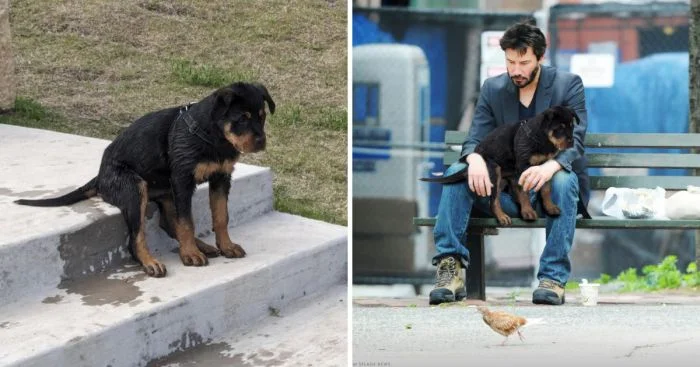 Искры юмора: 15 забавных работ с фотошоп-баттлов, которые заставят вас смеяться