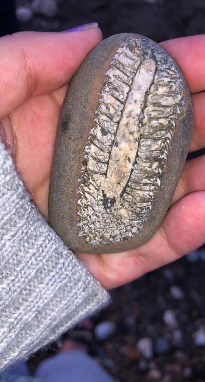 Загадочные предметы: 13 вещей, о которых многие слышали, но видели немногие