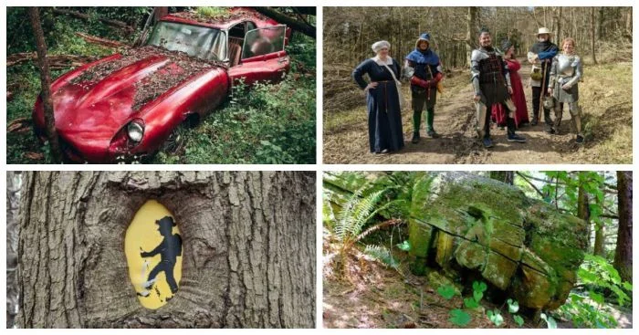 25 удивительных вещей, найденных в лесу