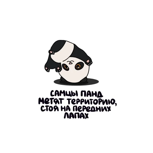 Узнавайте что-то новое: интересные факты