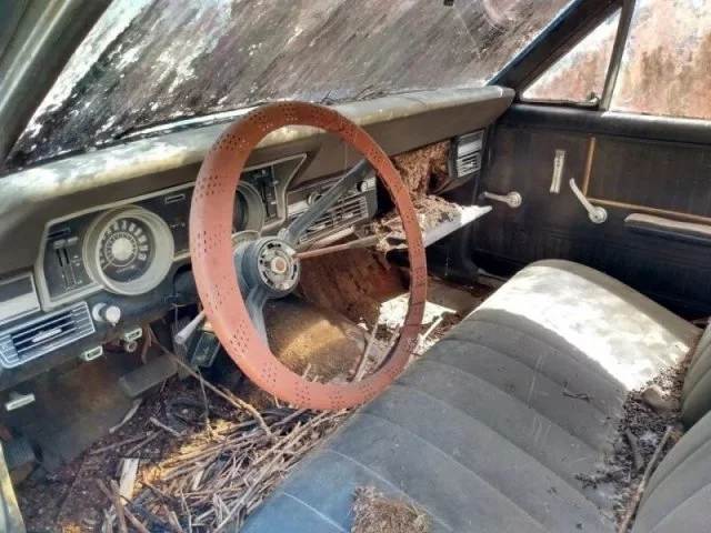 Автокладбище: памятник прошлым временам на колесах