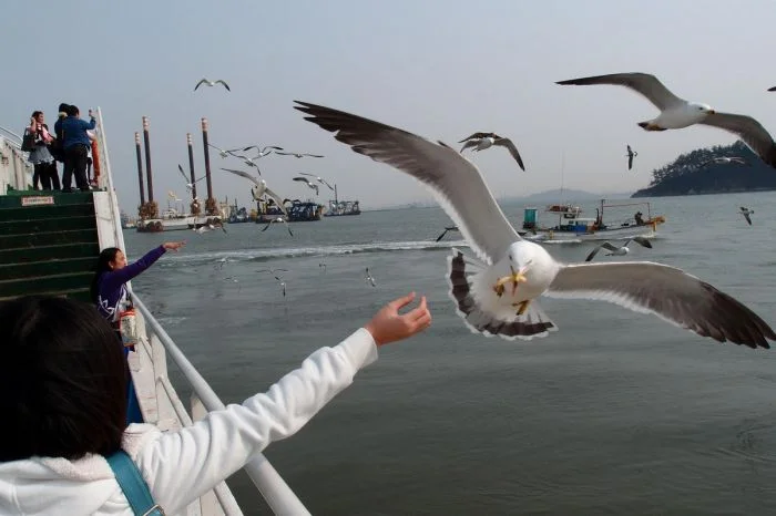 Намешалось