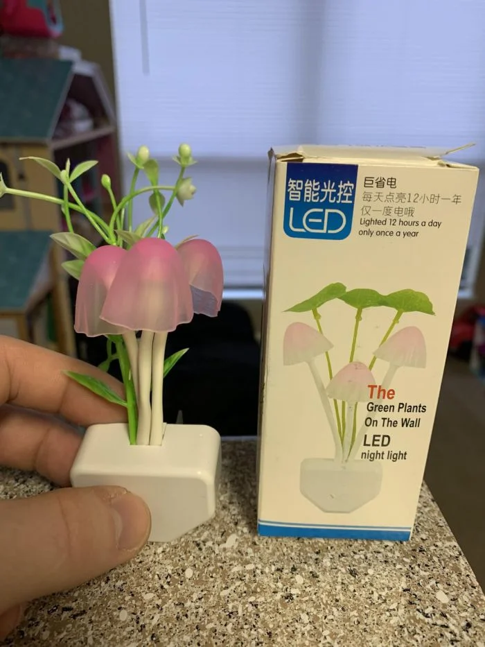 17 людей, которым невероятно повезло без всякой причины