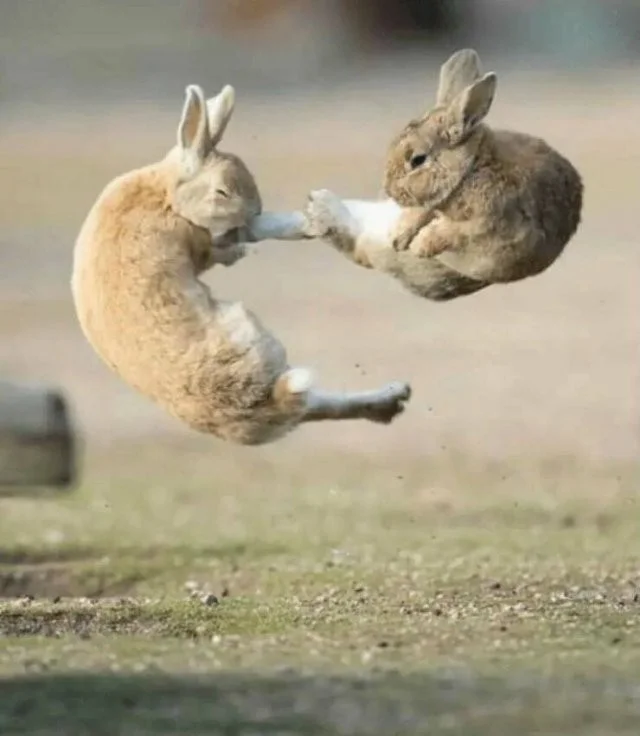 Намешалось