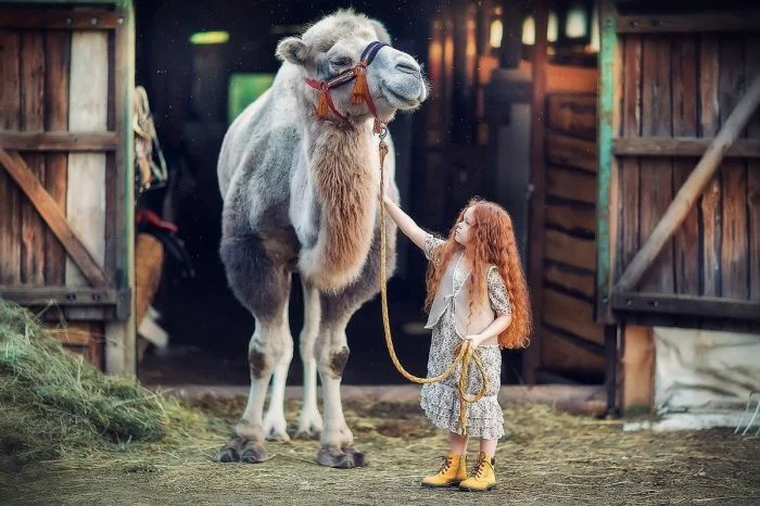 На общую тему