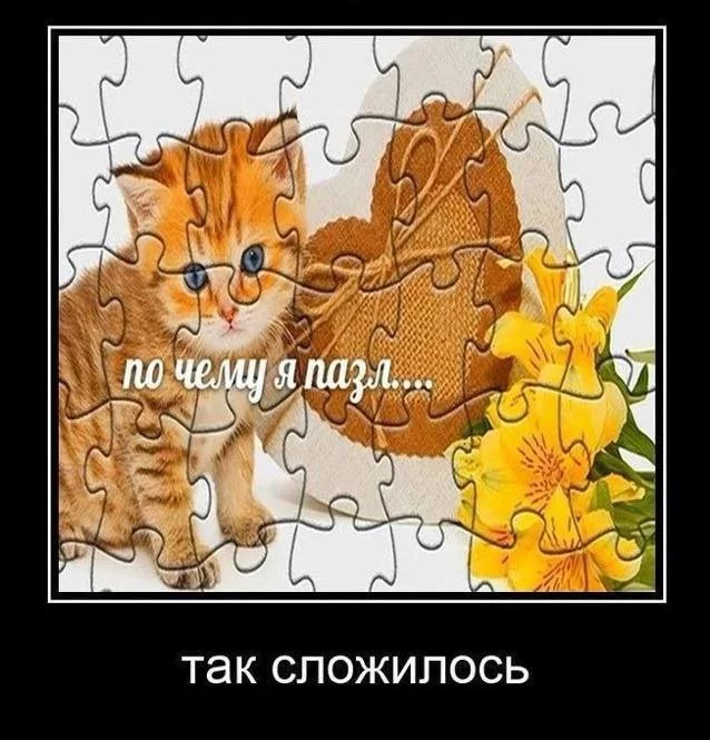 Скрины из соцсетей