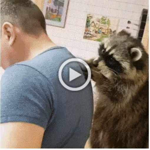 Новый и не очень гифки