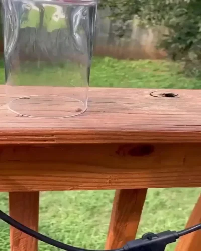 Никогда раньше такого не видел⁠⁠