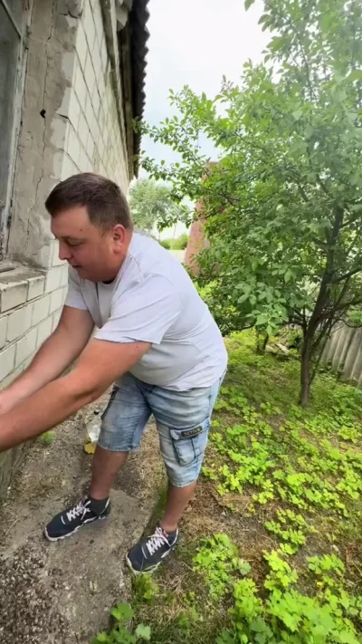 Куча удодов в стенке дома