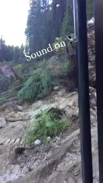 Знатное зрелище⁠⁠