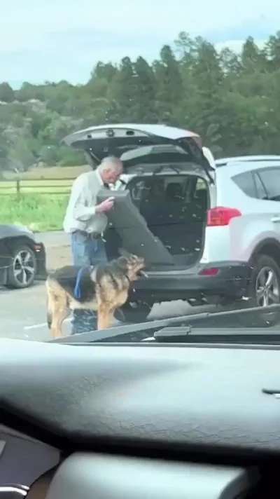 Два старых друга