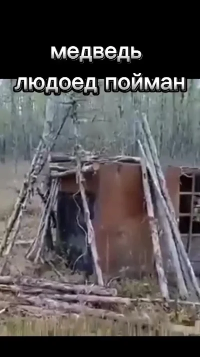 Да вы что, он поиграть хочет