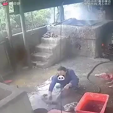 Подборка везунчиков