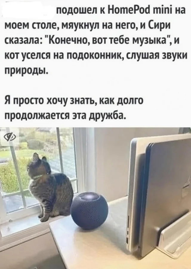 Ну держите картинки