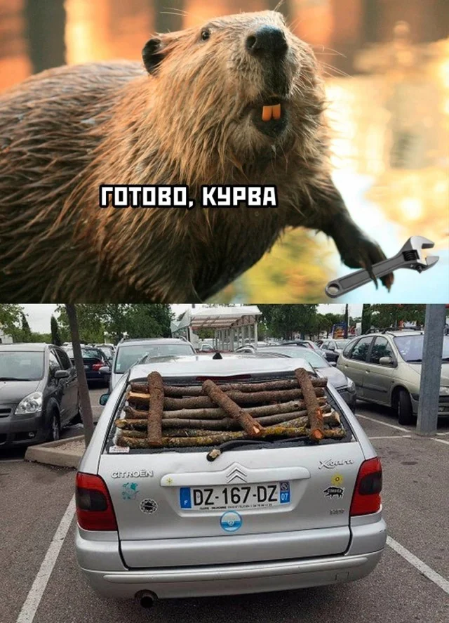 Так себе картинки