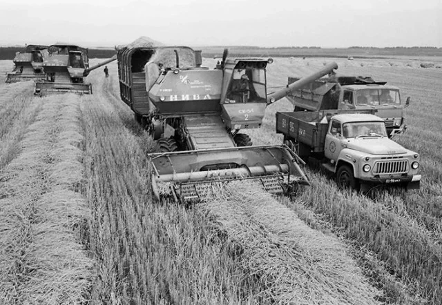 Почему русские люди едят всё с хлебом: 8 возможных объяснений