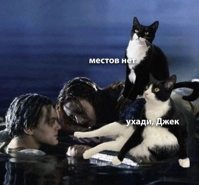 Ещё картинка