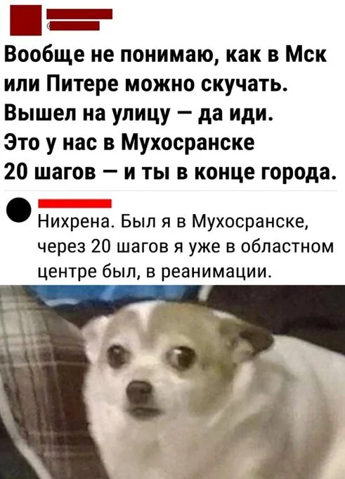 Какие картиночки? Веселые! | uCrazy.org