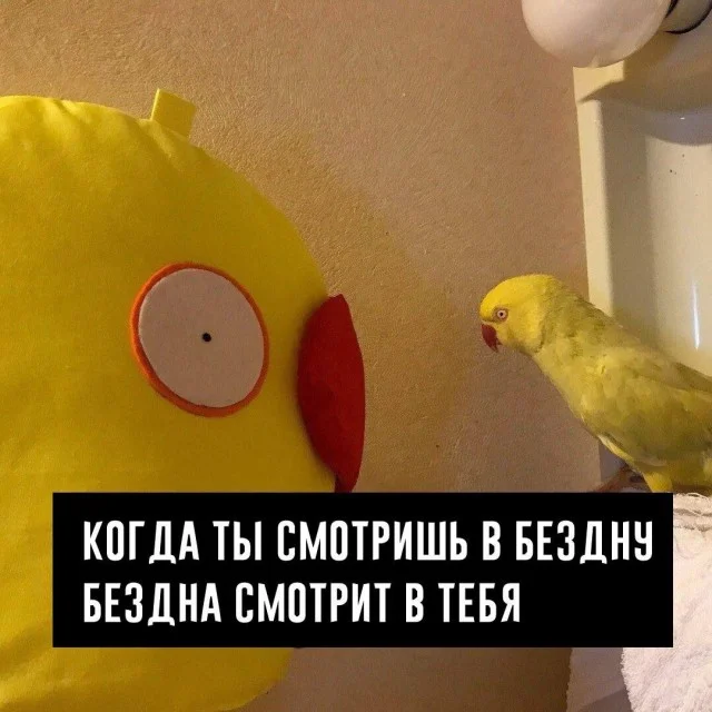 Какие картиночки? Веселые! | uCrazy.org