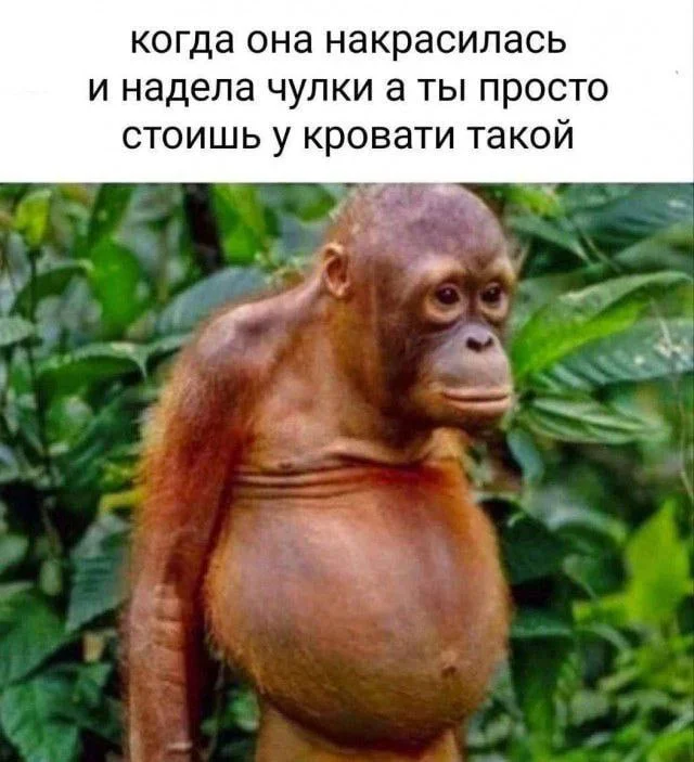 Нестандартный юмор #30