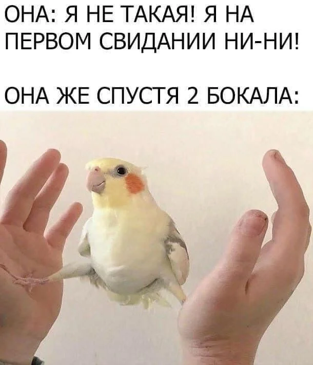 Нестандартный юмор #38